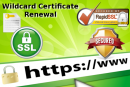 How to renew an existing SSL Wildcard Certificate with RapidSSLOnline