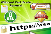 Come rinnovare un certificato SSL Wildcard con RapidSSLOnline